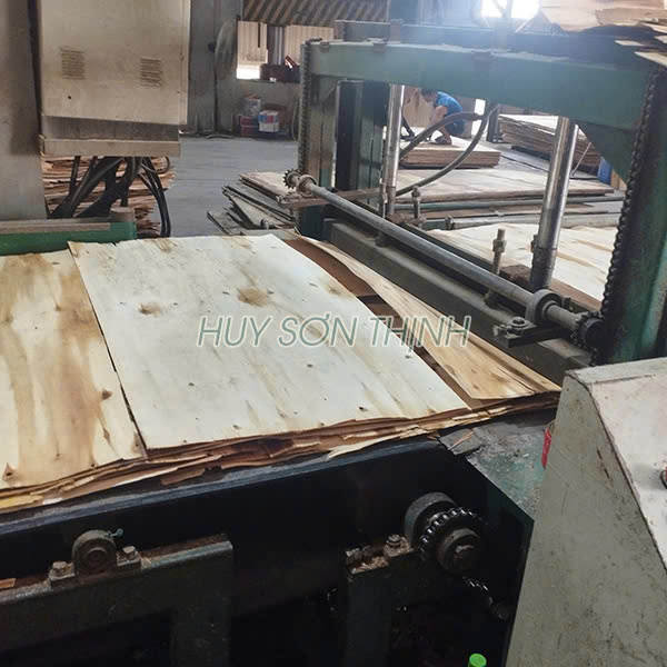 Ván bóc gỗ keo cho nhà máy ván ép
